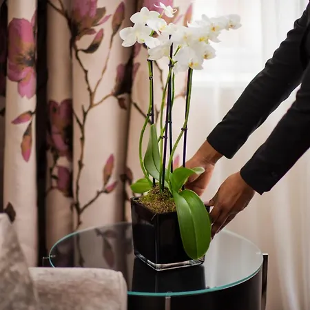 The Westbury Mayfair, A Luxury Collection Hotel, Hotell London