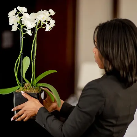 The Westbury Mayfair, A Luxury Collection Hotel, Hotell