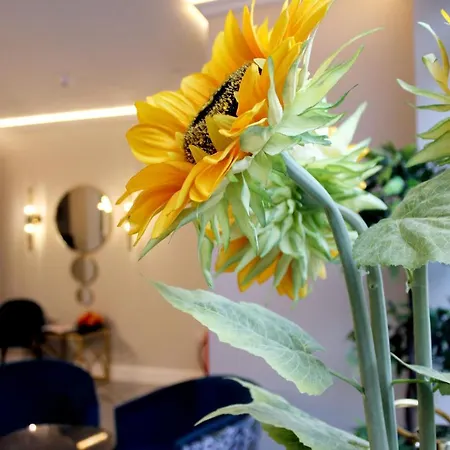 Nox Waterloo Aparthotel 4*