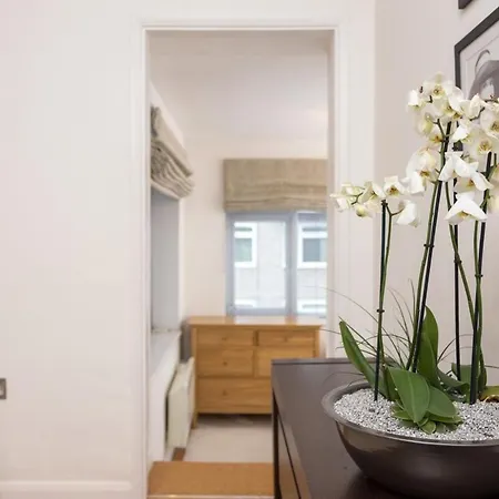 Professionally Cleaned 1 Bed Flat In South Kensington Apartment