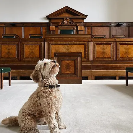 Town Hall - Shoreditch 5*