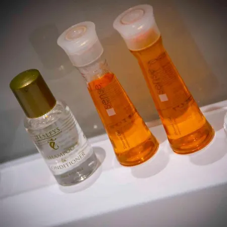 霍德华温切斯特酒店 2* 伦敦