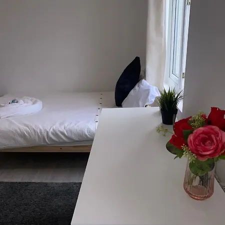 Homestay Modern Furnished Studio London