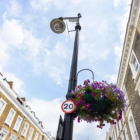 Pimlico Hub Londen