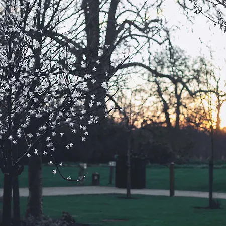 Hilton London Syon Park 4*