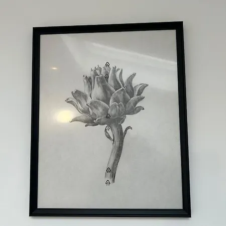Appartamento Modern