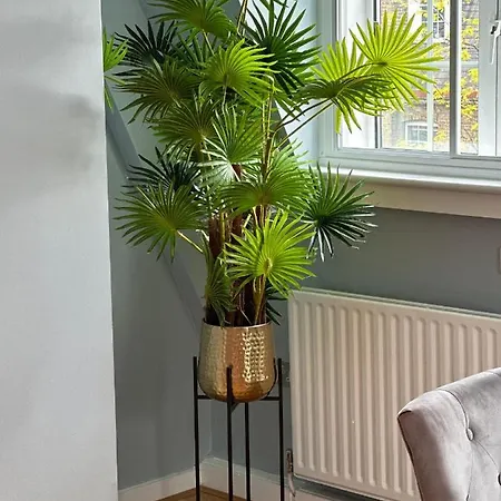 One Bedroom Flat In Chelsea Apartment