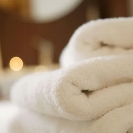 Otel The Waldorf Hilton 4*