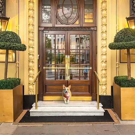 The Waldorf Hilton 4* Londra