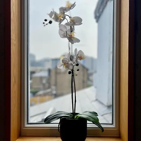 Apartment Stylish Urban Retreat West Ldn! Brentford