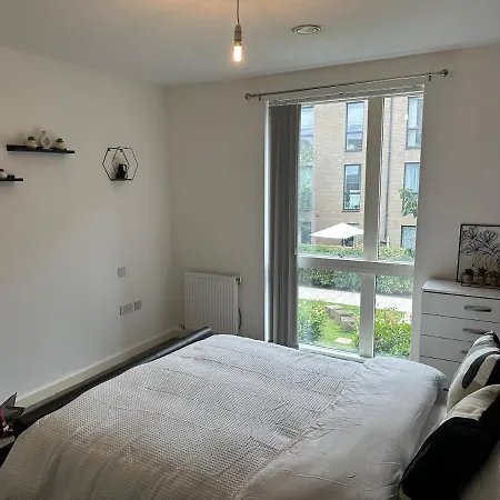 Deluxe Spacious Near Bridge! * London