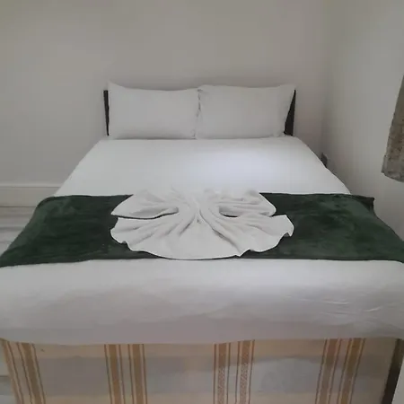 W3