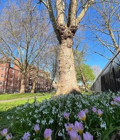 Peaceful Bright City Hide Away With Parking London