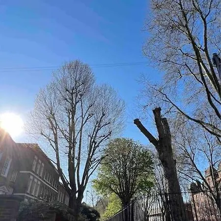 Peaceful Bright City Hide Away With Parking * London