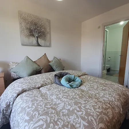 Saints Guest house *