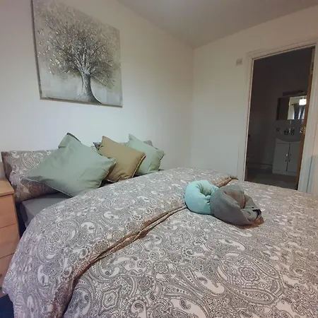 Saints Guest house *