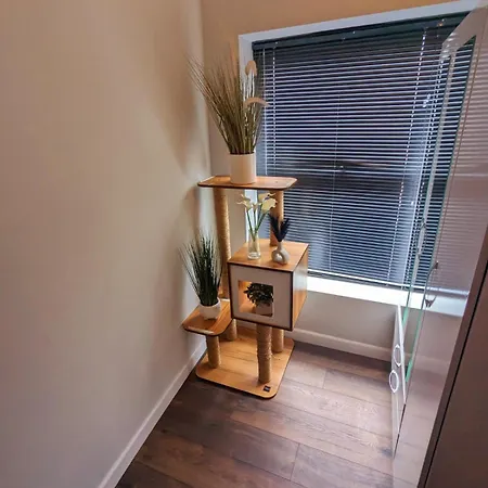 Bright & Modern In Hackney Wick E3 Apartment