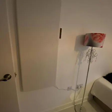 Homestay Xl Bright Room+parking+fridge+micro - 20min Bridge - 3 Min Walk To Train/bus Station London