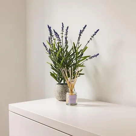 Apartment Wild Roses Serviced - Borough