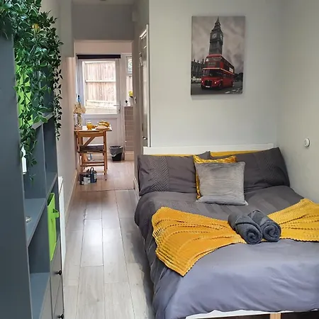 Cosy Studio Stadium Gem Apartment Wembley