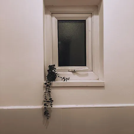 Spacious 3 In Tooting Guest house London