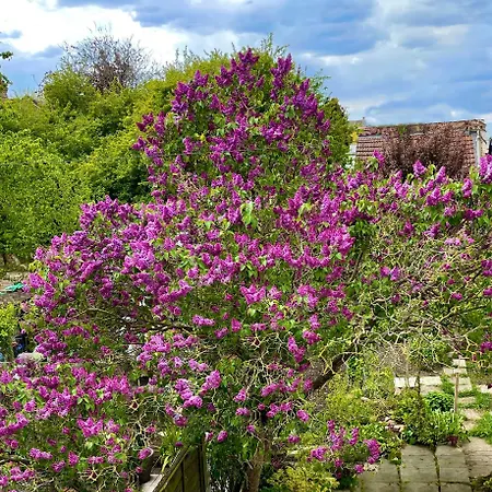 Luxurious House Near Excel- Air Conditioning, 9 Beds, 2 Baths, Garden, Fast Wifi Penzion Londýn