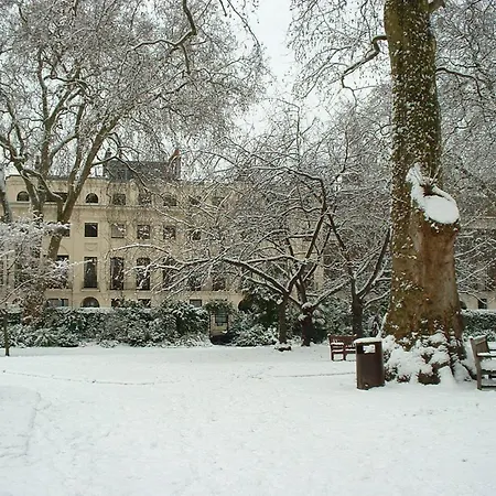 The Goodenough London