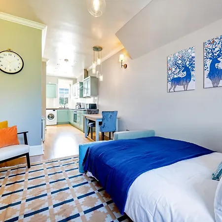 Large 1 Bedroom In Center Of * London