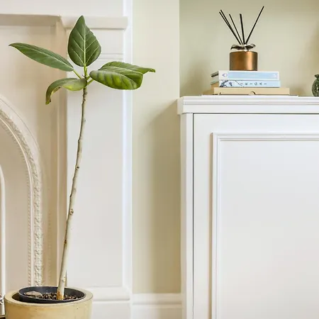 Peaceful Multilevel 2br Flat With Garden In Fulham ロンドン