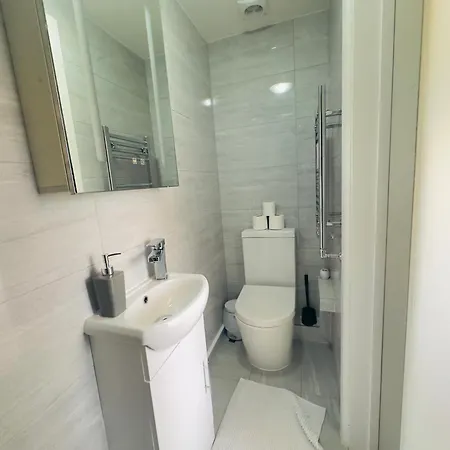 Zee Homes W6 Apartment London
