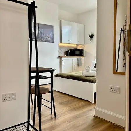 Zee Homes W6 Apartment London