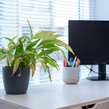 شقة Guestready - Modern Studio For 2 In Albion Court *