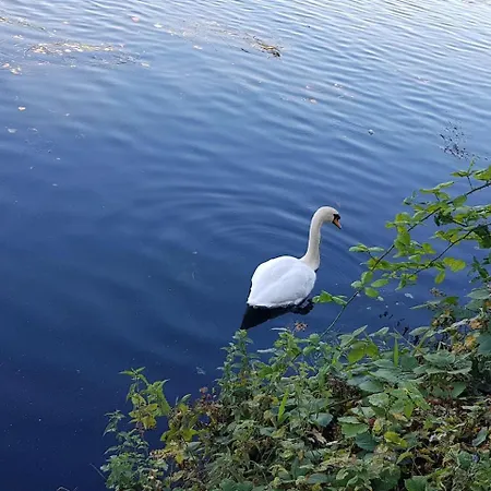 Idyllic Flat Over River Lea *