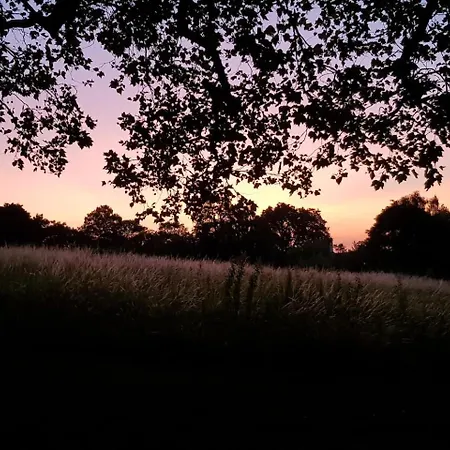 Idyllic Flat Over River Lea * London