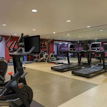 Hotel Hilton London Syon Park Brentford