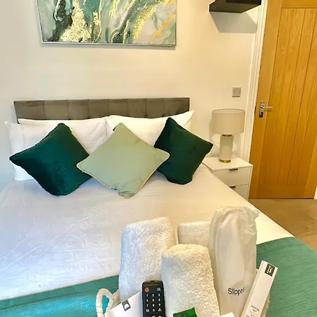 The Luxe En-suite In Stratford Accommodatie bij particulieren Londen
