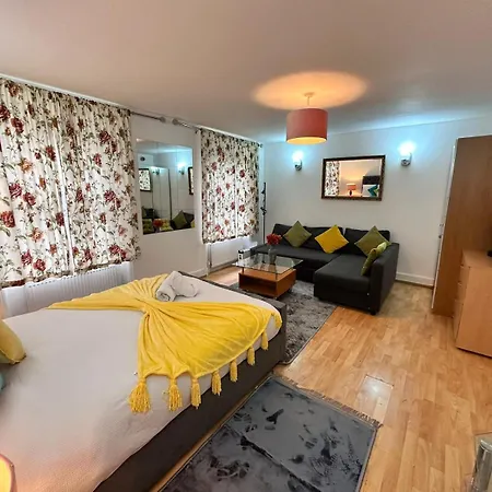 Apartment Bright Studio In Central London