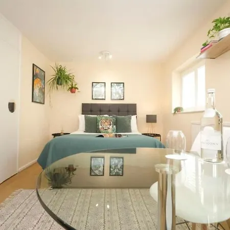 Albergue Wilson House - Camden
