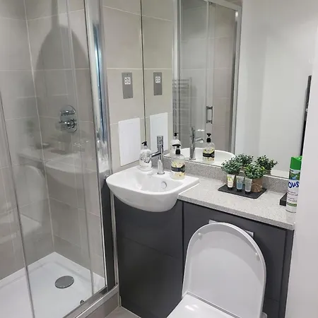山林小屋 Kayz Lodge- Luxury Ensuite-private & Shared In A New House At The Olympic Village Overlooking Stratford Westfield And Tube Station *