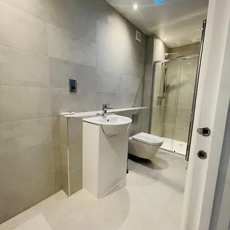 Fully Furnished Duplex In Askew Road *