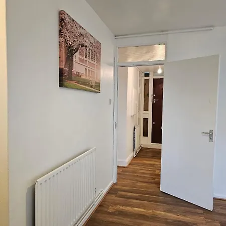 Entire Oval Apartment London
