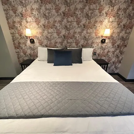 Pasha - 3* Boutique 3* Londra