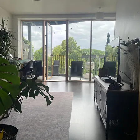 Private In A Shared Flat *