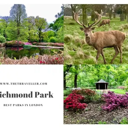 Gasthof Charming Double Near Richmond Park Kingston Gate Kingston upon Thames (Greater London)