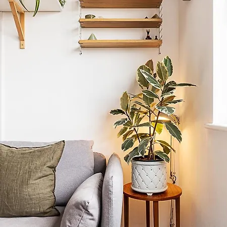 Chic & Modern Dalston Apartment