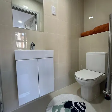 Apartment Luxury Flat In London! E1!f3