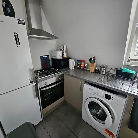 Affittacamere Modern Spacious 10 Minutes From Big Ben Londra
