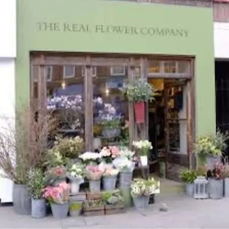 Rare Find, Beautiful On Chelsea