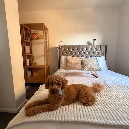 Near Airport Dog Lovers Welcome * London