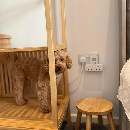 Bed & Breakfast Near Airport Dog Lovers Welcome London